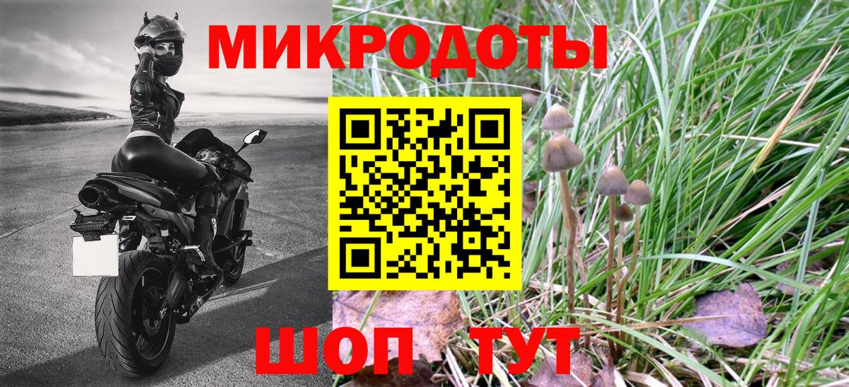 Псилоцибиновые грибы GOLDEN TEACHER Тверь